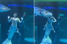 Nổi bật tuần qua: Cô gái bất ngờ bị cá cỡ lớn ngoạm vào đầu trong công viên