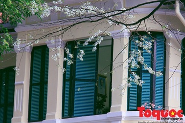 6 thành phố của Việt Nam lọt top điểm đến tháng 3