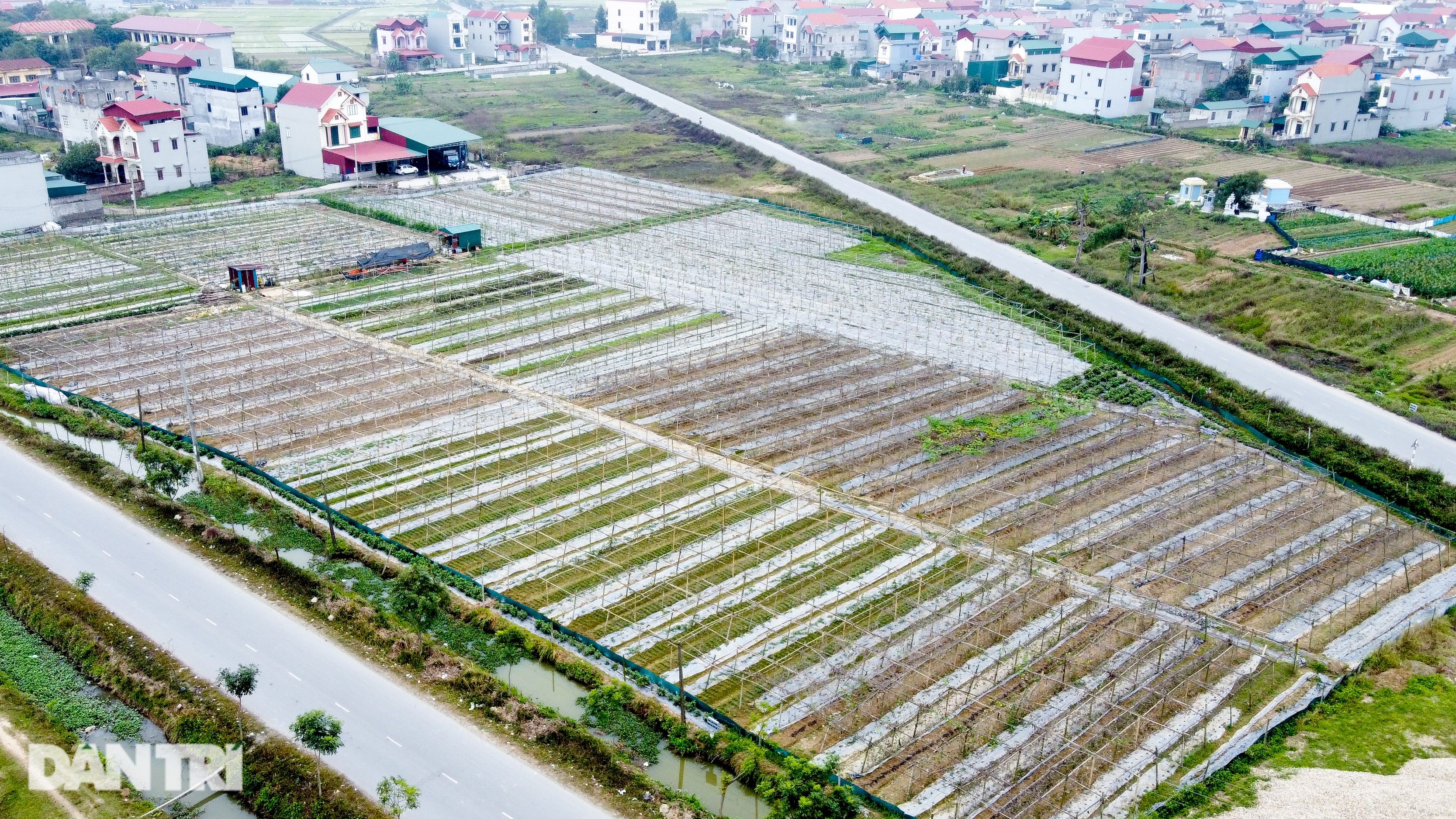 Giám đốc ngân hàng lương 1,2 tỷ bỏ nhà phố, ô tô về quê… trồng mướp - 14 Giám đốc ngân hàng lương 1,2 tỷ bỏ nhà phố, ô tô về quê… trồng mướp - 14