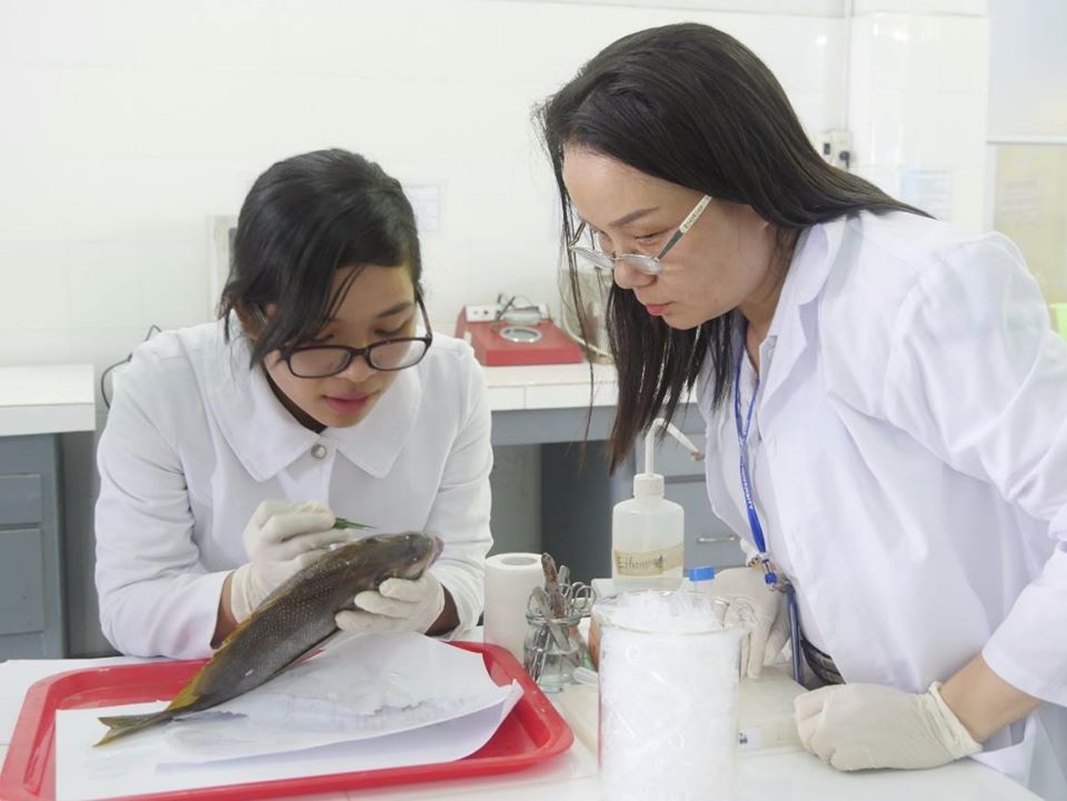 Nữ giảng viên đam mê nghiên cứu khoa học biển - 1 Nữ giảng viên đam mê nghiên cứu khoa học biển - 1