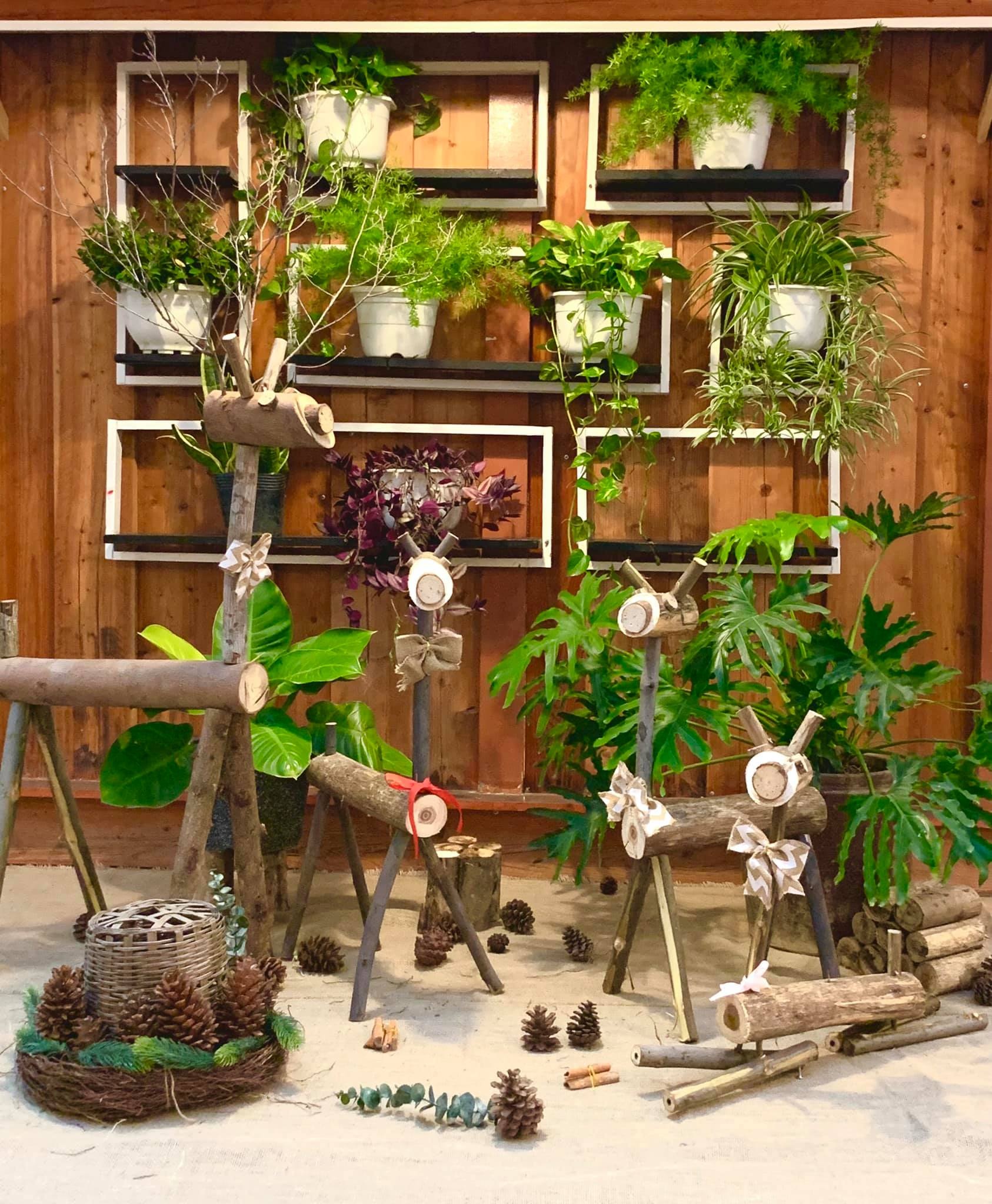 4 quán cà phê xanh mát như khu vườn nhiệt đới giữa phố biển Nha Trang - 8