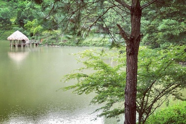 Du lịch sinh thái kết hợp nông nghiệp sạch – nghỉ dưỡng ven đô nâng tầm mới