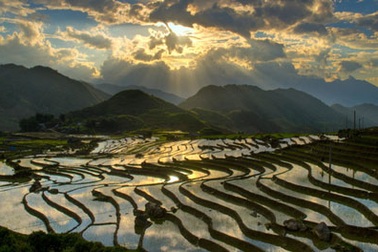 Ruộng bậc thang mùa nước đổ