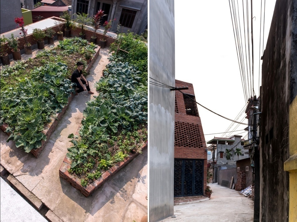 Nhà hang Gạch tiếp tục đoạt Huy chương Vàng Kiến trúc Châu Á 2019 - 11 Nhà hang Gạch tiếp tục đoạt Huy chương Vàng Kiến trúc Châu Á 2019 - 11