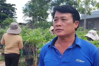 Nho kiểng Ninh Thuận tiền triệu vẫn “cháy hàng”