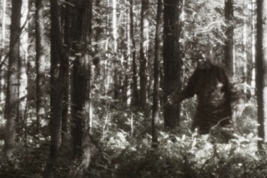 "Quái vật chân to" ở Bắc Mỹ có thực sự tồn tại?