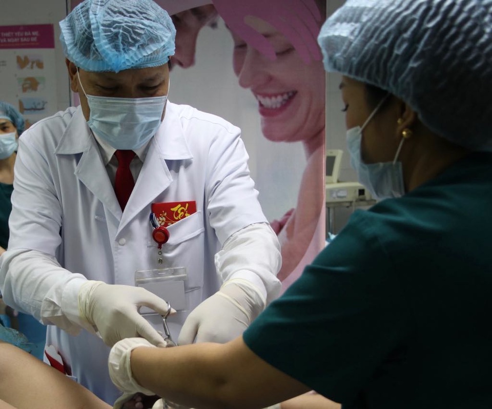 Ngắm những cô cậu chuột vàng chào đời trong thời khắc giao thừa - 2 Ngắm những cô cậu chuột vàng chào đời trong thời khắc giao thừa - 2