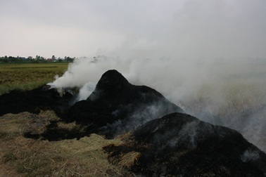 Thương ngọn khói chiều