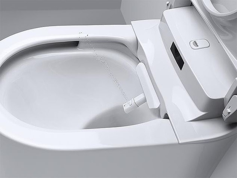 “Hé lộ” bồn cầu xa hoa như ngai vàng, vệ sinh xong không muốn rời đi - 2 “Hé lộ” bồn cầu xa hoa như ngai vàng, vệ sinh xong không muốn rời đi - 2