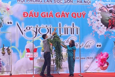 Đấu giá 32 giò lan của phi công Khuất Mạnh Trí thu được trên 400 triệu đồng