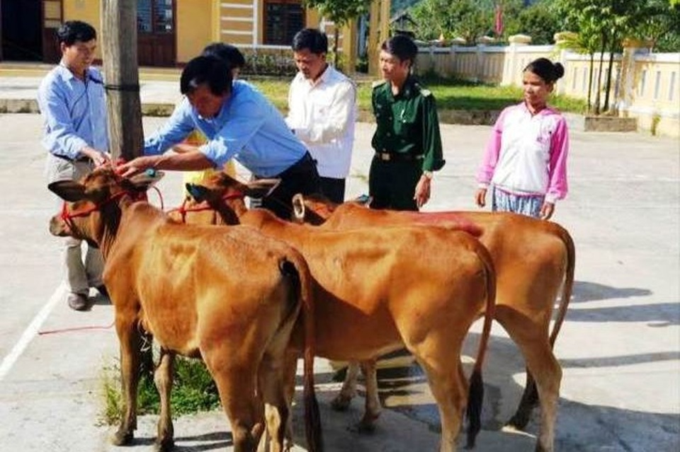 Thừa Thiên Huế: Tạo ra nhiều mô hình giảm nghèo bền vững - 4 Thừa Thiên Huế: Tạo ra nhiều mô hình giảm nghèo bền vững - 4