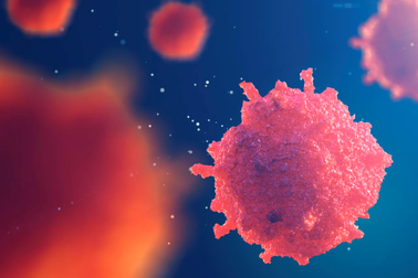 Bạn có vững kiến thức nhiều mặt?