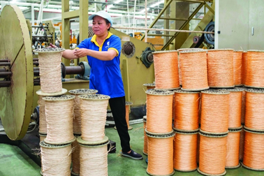 Bán dây thừng, một doanh nghiệp lỗ 6,5 tỷ đồng quý đầu năm