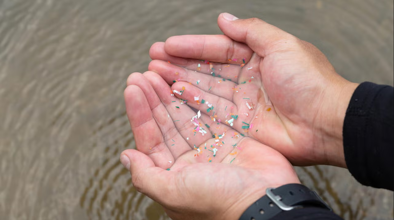 Alarma mundial: Los residuos plásticos en el océano están a punto de superar en número a los peces - 4 Báo động toàn cầu: Rác thải nhựa ở đại dương sắp nhiều hơn cá - 4