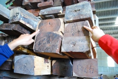 3 cán bộ Hải quan “tiếp tay” cho doanh nghiệp buôn lậu gỗ