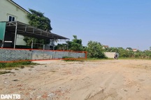 Cách xác định loại đất để được bồi thường khi không rõ mục đích sử dụng