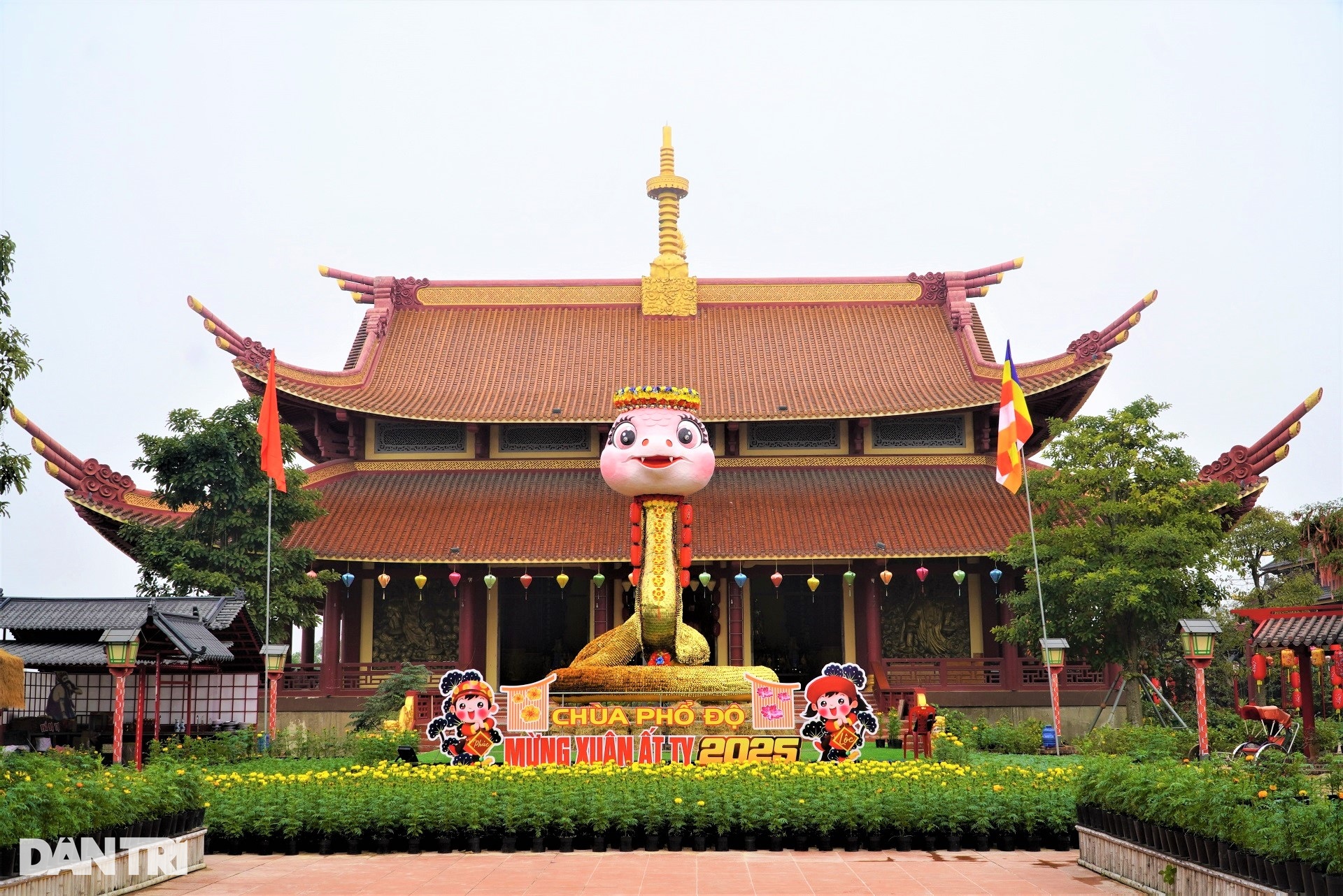 Linh vật rắn siêu dễ thương, đầu đội vòng nguyệt quế trình làng - 1 Linh vật rắn siêu dễ thương, đầu đội vòng nguyệt quế trình làng - 1