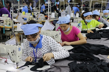 Nghệ An cần tuyển dụng hơn 11.000 lao động tại các khu công nghiệp