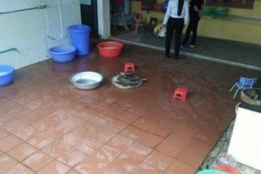 Bé mầm non 4 tuổi bị giáo viên và Hiệu trưởng dọa cắm điện, thả vào máy vặt lông gà