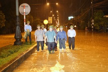 Quảng Bình đề nghị Chính phủ cứu đói 5.000 tấn gạo, 250 tỷ đồng