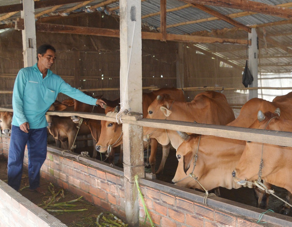 Sóc Trăng: Năm 2020 giảm được 6.600 hộ nghèo - 1 Sóc Trăng: Năm 2020 giảm được 6.600 hộ nghèo - 1