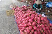 Điêu đứng vì nông thuỷ sản liên tục mất giá