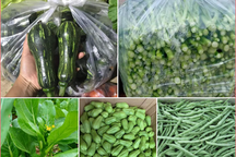 Bỏ việc về bán hàng online, mẹ bỉm sữa "tậu" 2 mảnh đất Hà Nội sau 5 năm