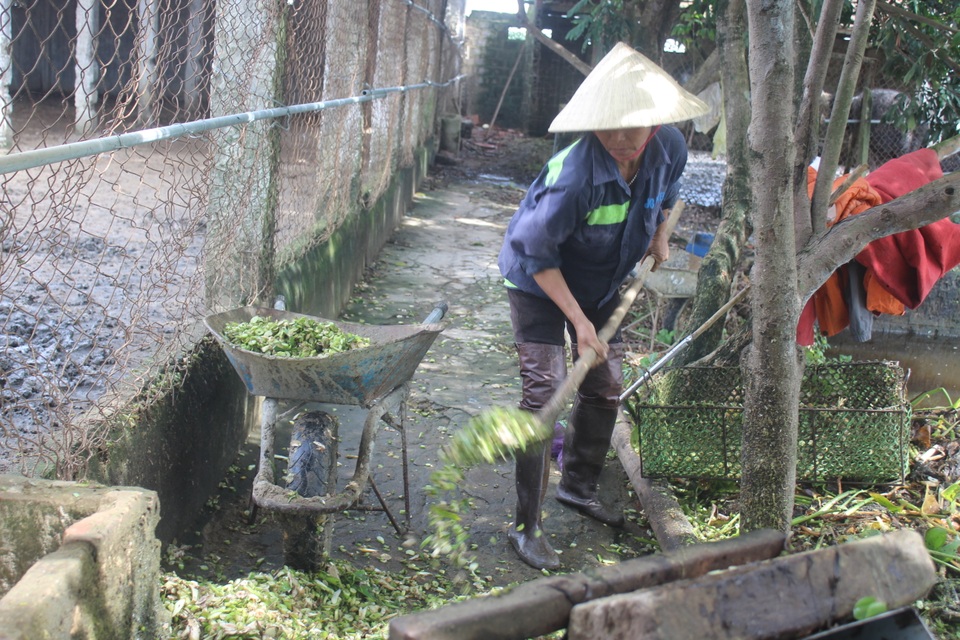 Đánh liều” nuôi chim khổng lồ, lão nông không ngờ lãi 500 triệu đồng - 3 Đánh liều” nuôi chim khổng lồ, lão nông không ngờ lãi 500 triệu đồng - 3
