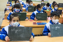 Hà Nội: Hỏa tốc cho học sinh lớp 1-6 ngoại thành ngừng học trực tiếp