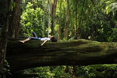 Tắm rừng: Liệu pháp trở về với thiên nhiên để khỏe mạnh