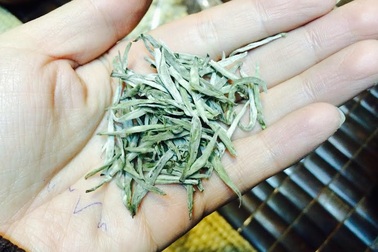 Đại gia Hà Thành chi 100 triệu đồng mua Bạch trà ngàn năm thưởng tết