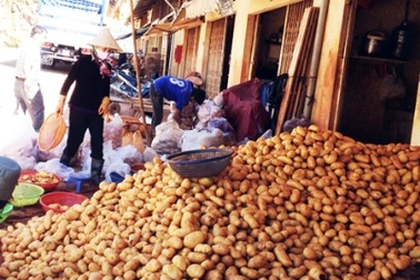 Khoai tây Trung Quốc lại lên Đà Lạt 