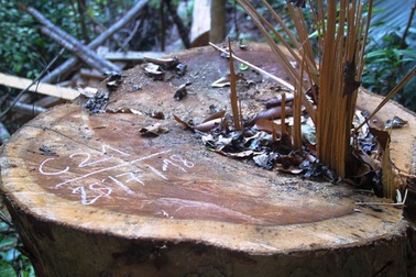 Khởi tố đối tượng kề mã tấu, dọa giết kiểm lâm