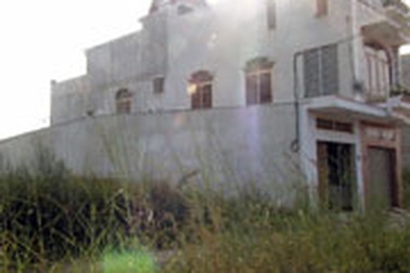 Thu hồi ngay đất vi phạm trước tháng 7