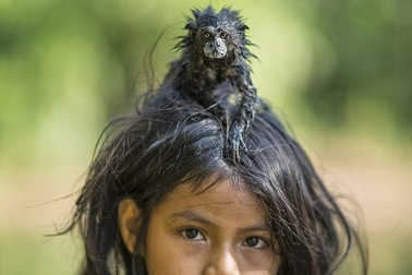 Lộ diện những bức ảnh đẹp nhất cuộc thi ảnh National Geographic 2016