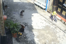 Quệt ngã em bé, người phụ nữ thản nhiên bỏ đi khiến dân mạng phẫn nộ