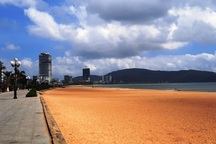 Cô gái chết bất thường trên bãi biển Quy Nhơn