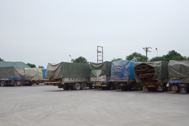 "Dàn trận" bắt đoàn 21 xe quá tải chở gỗ từ Lào về Việt Nam