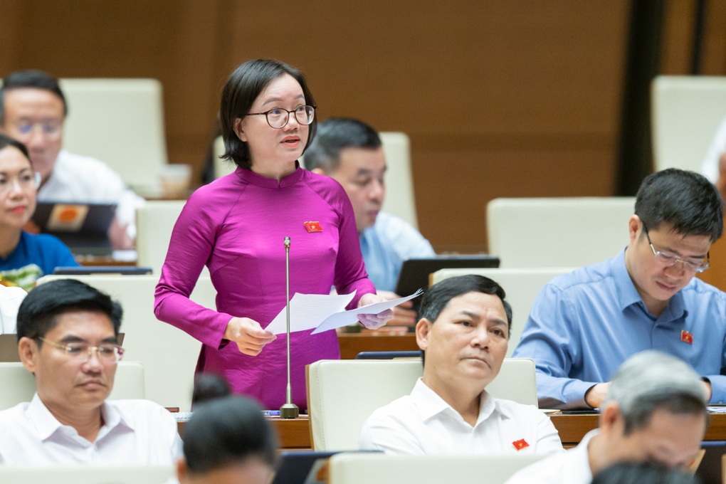 Đại biểu đề nghị truy giao dịch đáng ngờ của người có nhiều đất không phù hợp thu nhập - 1 Đại biểu đề nghị truy giao dịch đáng ngờ của người có nhiều đất không phù hợp thu nhập - 1