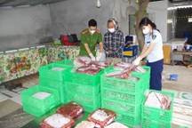 Phát hiện hơn 1,2 tấn nội tạng động vật bốc mùi ôi thiu