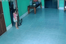 Video rắn hổ mang bò vào nhà khiến bé gái cầu cứu hút 1 triệu lượt xem