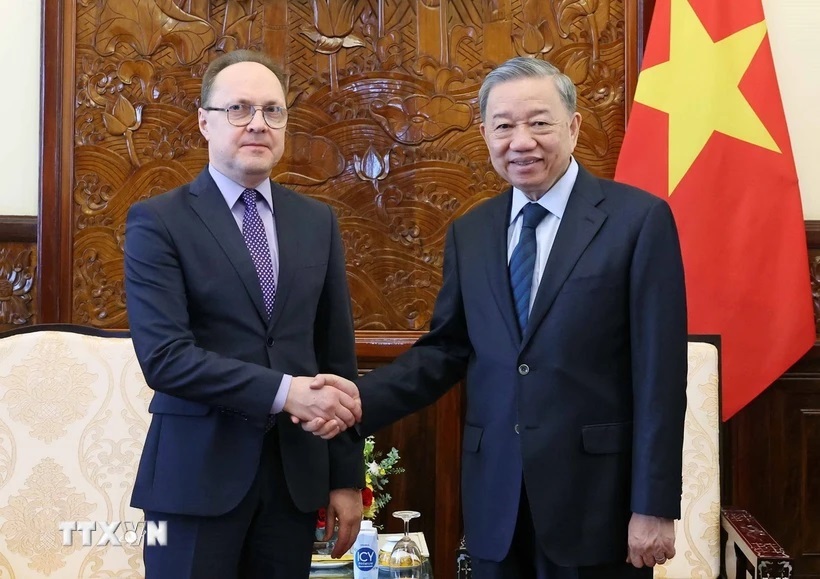 Chủ tịch nước Tô Lâm tiếp Đại sứ Nga - 1