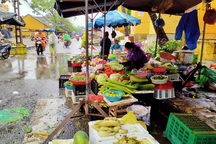 Hội An: Sau lũ lớn, rau xanh khan hiếm, giá tăng mạnh