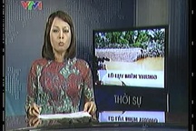 Video: Cập nhật tình hình mưa lũ ở Hà Tĩnh - Quảng Bình