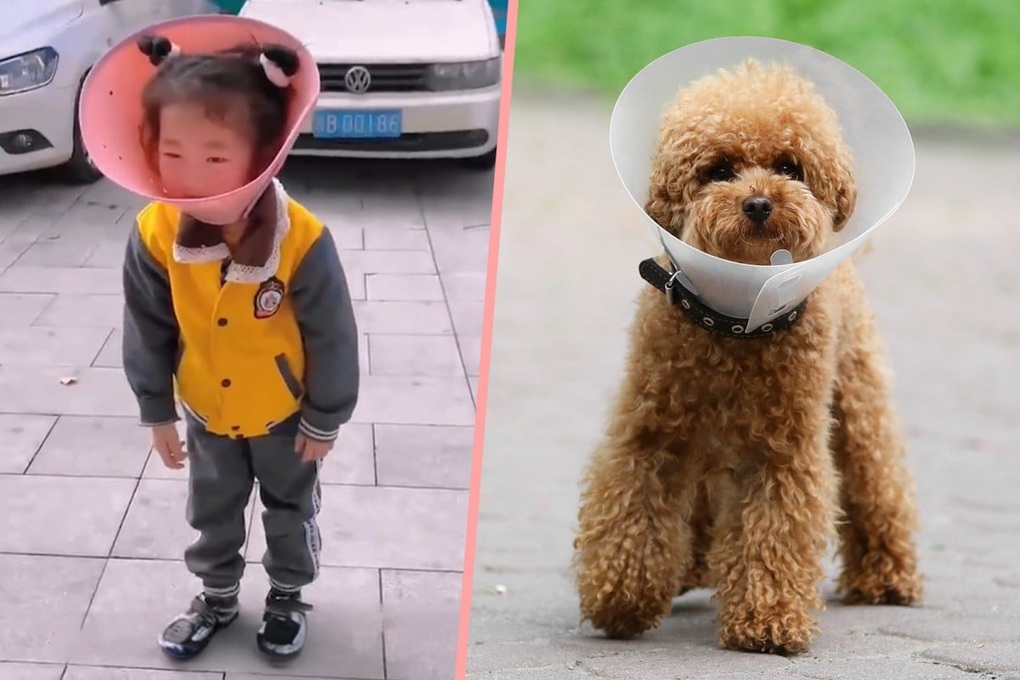 Tranh cãi ông bắt cháu gái 5 tuổi đeo loa thú cưng cai nghiện điện thoại - 2 Tranh cãi ông bắt cháu gái 5 tuổi đeo loa thú cưng cai nghiện điện thoại - 2