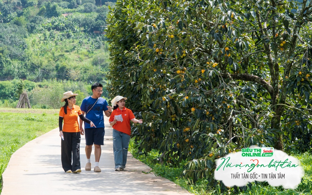 Sendo Farm lan tỏa câu chuyện về hành trình chuyển mình của nông sản Việt - 2 Sendo Farm lan tỏa câu chuyện về hành trình chuyển mình của nông sản Việt - 2