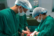 Phẫu thuật lấy thai thành công cho thai phụ có 2 tử cung hiếm gặp