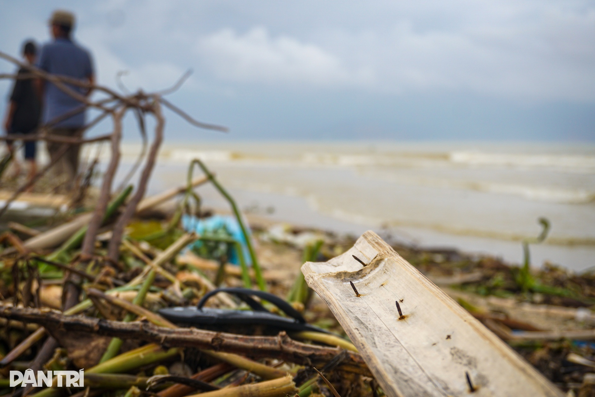 Hình ảnh bờ biển Đà Nẵng khác lạ sau mưa lũ - 8