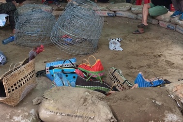 Xóa sổ trường gà quy mô lớn giáp ranh Đà Nẵng – Quảng Nam