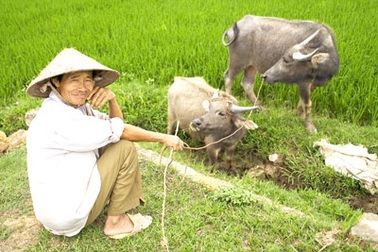 Chẳng nên có cái nhìn hà khắc về "người nhà quê"